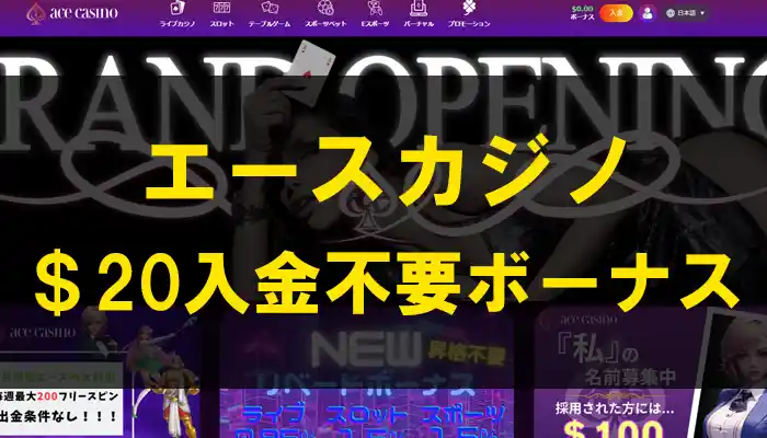 エースカジノ$20入金不要ボーナス