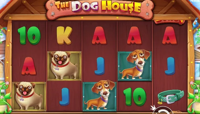 The Dog House（ドッグハウス）とは